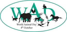 events_world-animal-day
