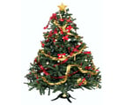 ki-christmas-tree